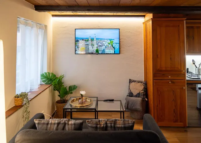 Many's Historical Zurich