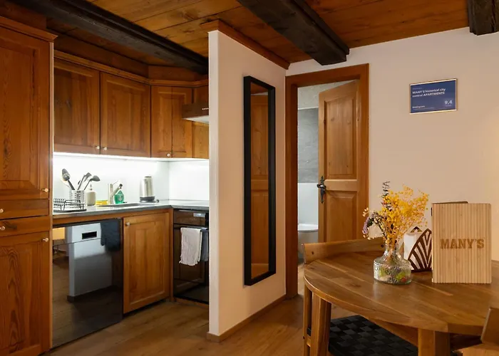 アパートホテル Many's Historical 3*