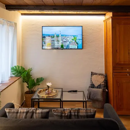 Many's Historical Zurich